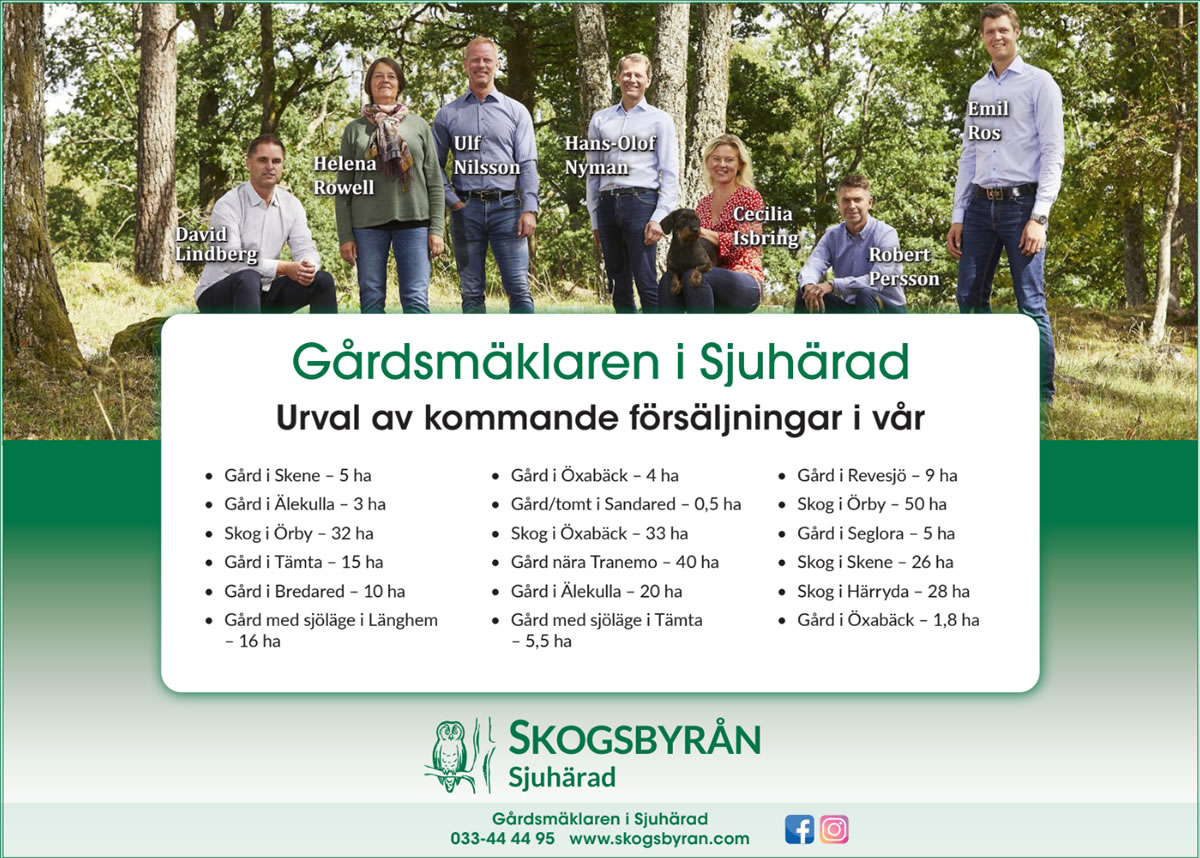 skogskampanj